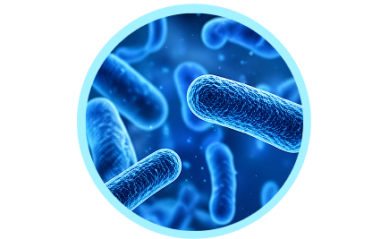 Postbiotics