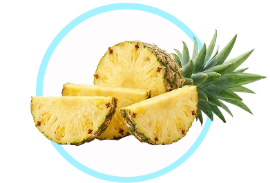 Digestive Enzymes