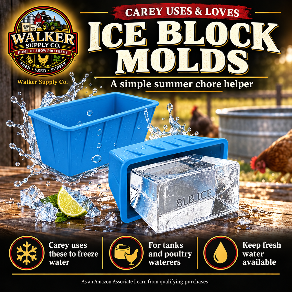 Ice block molds — Walker Supply recommendation infographic