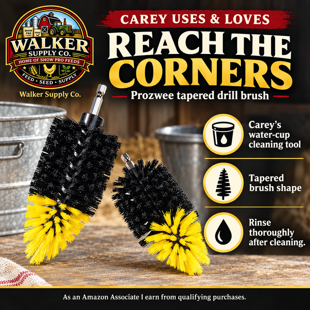 Prozwee tapered drill brush — Walker Supply recommendation infographic
