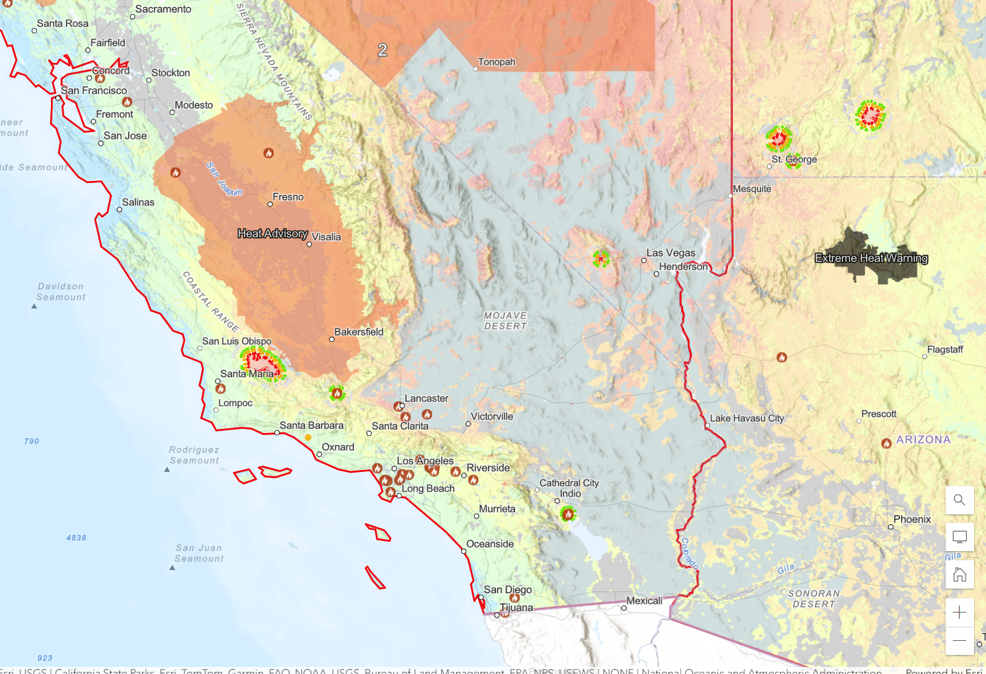 Wildland Fire Fighters