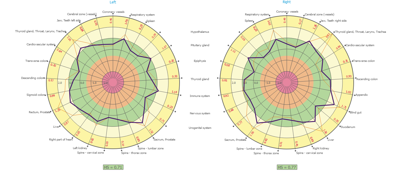 Bio-Well organ chart, follow-up scan