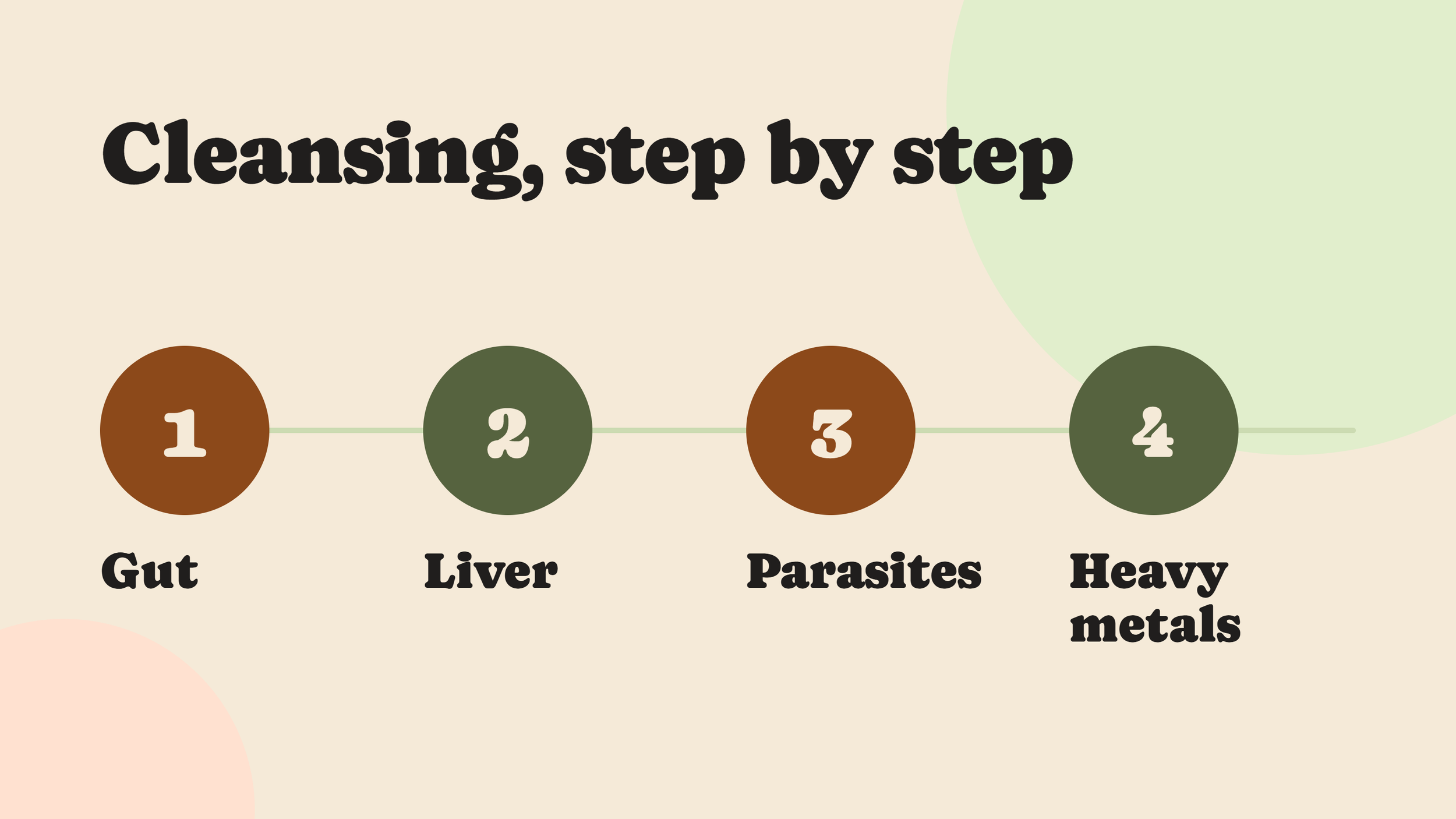Cleansing step by step: gut, liver, parasites, heavy metals