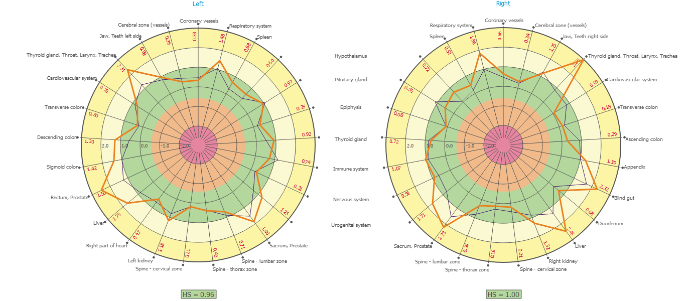 Bio-Well organ chart, baseline scan