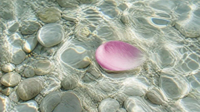 Sunlight rippling through clear spring water