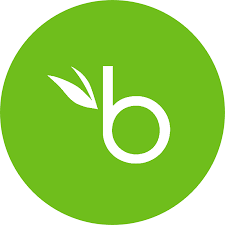 BambooHR Custom Agent