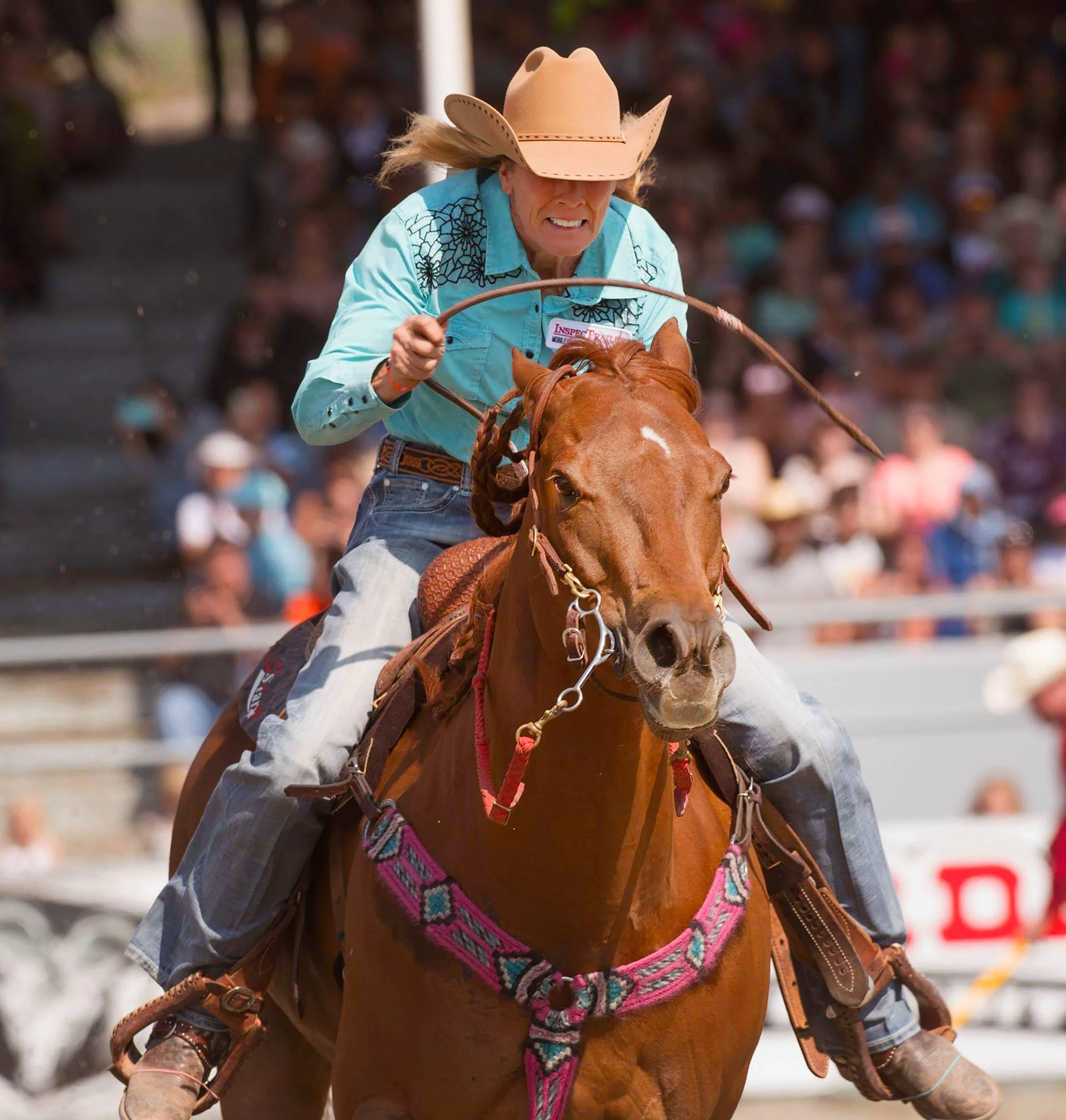 Angela Ganter & Bugs