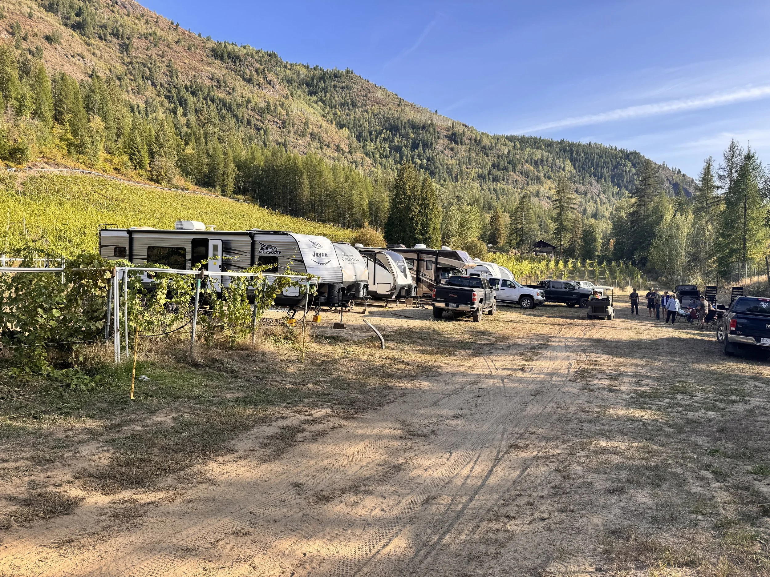 Vineyard RV guest sites at Mountain Soul