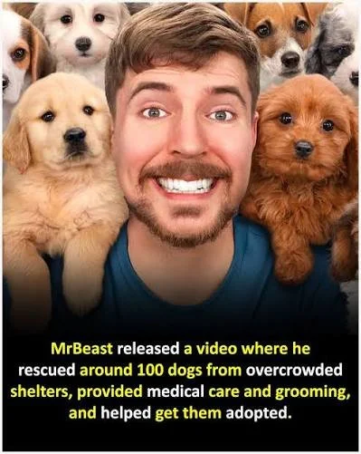 MrBeast 100 Dogs campaign supported by Mobile Billboard Global mobile billboard advertising trucks