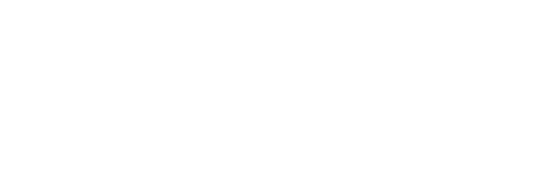 Metropolis
