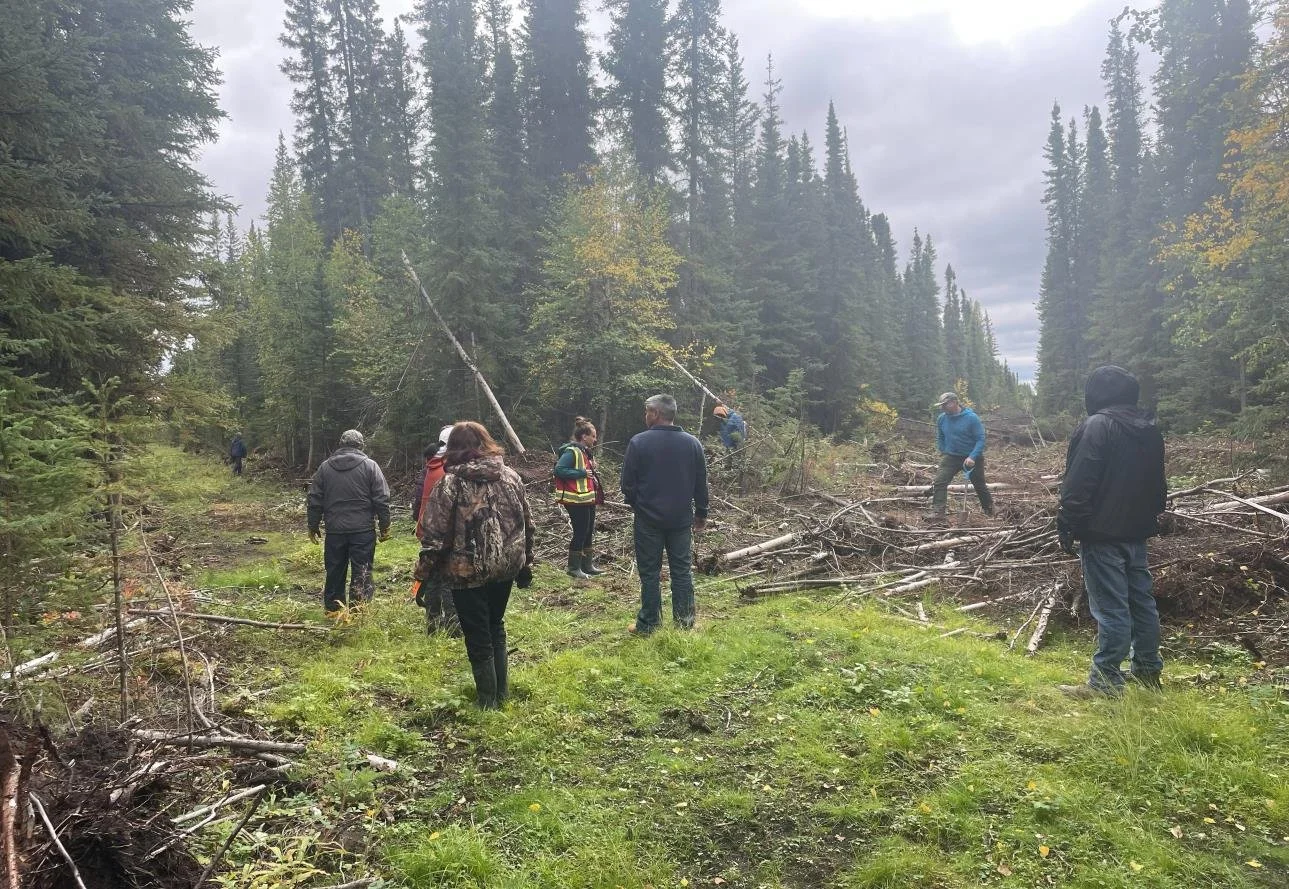 Community members stand on a forest seismic line beside branches and logs used to block access during restoration.