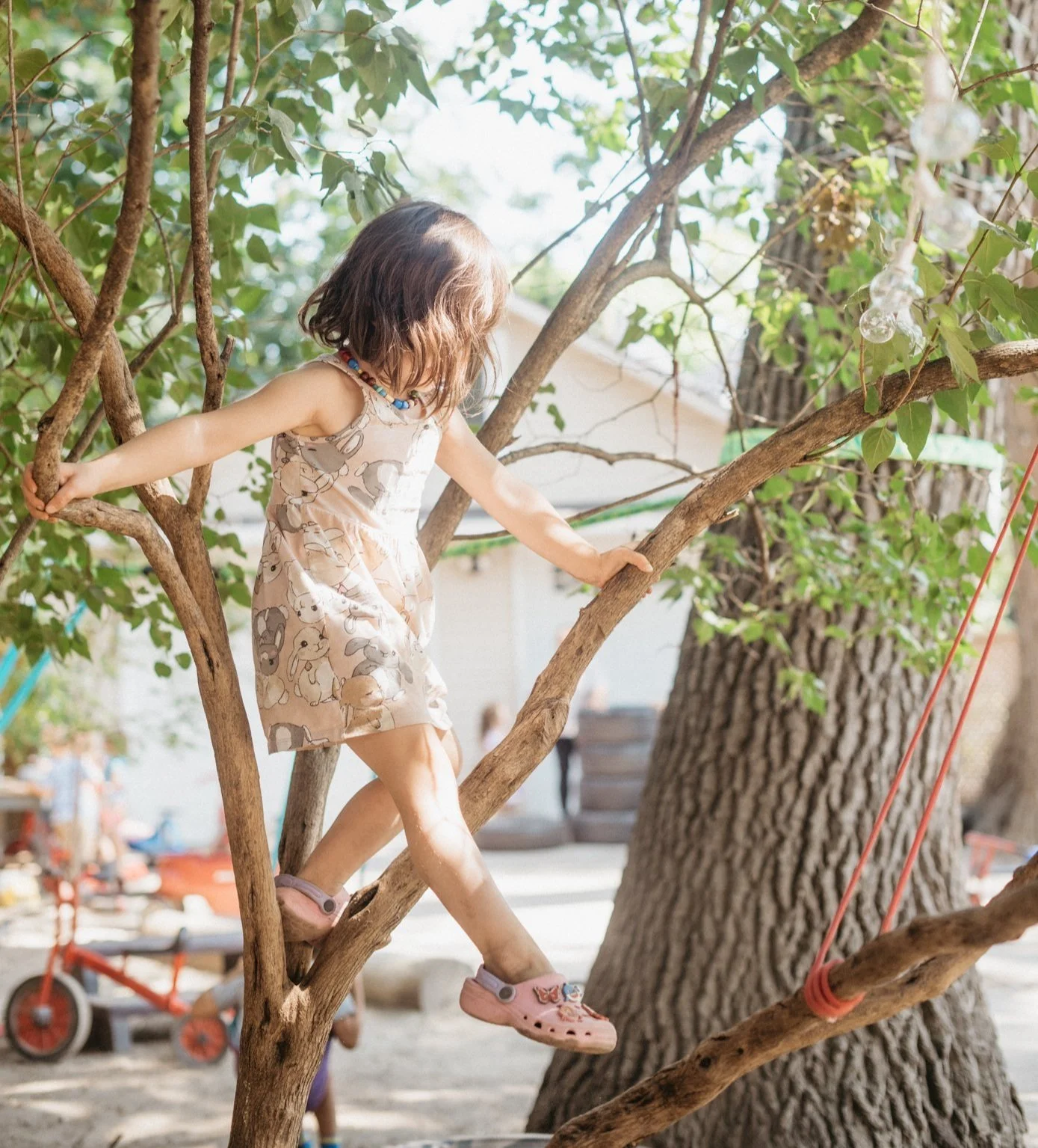 A child climbing a tree in the play yard