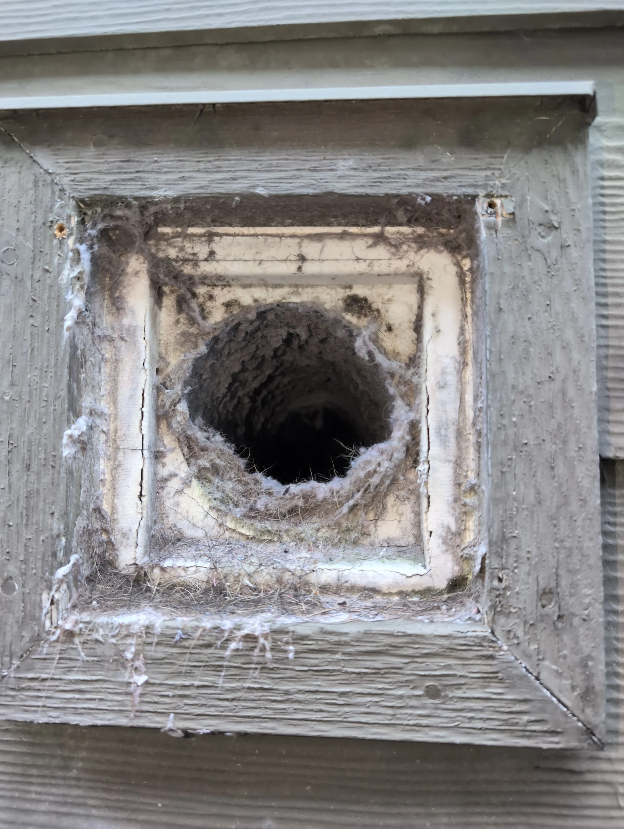 Blocked exterior dryer vent