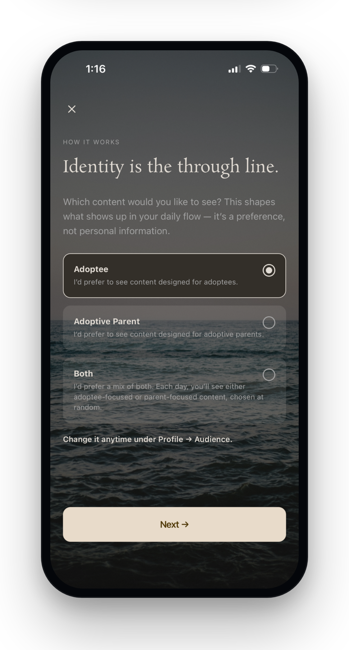 Choosing your audience in Unfolding — adoptee, adoptive parent, or both