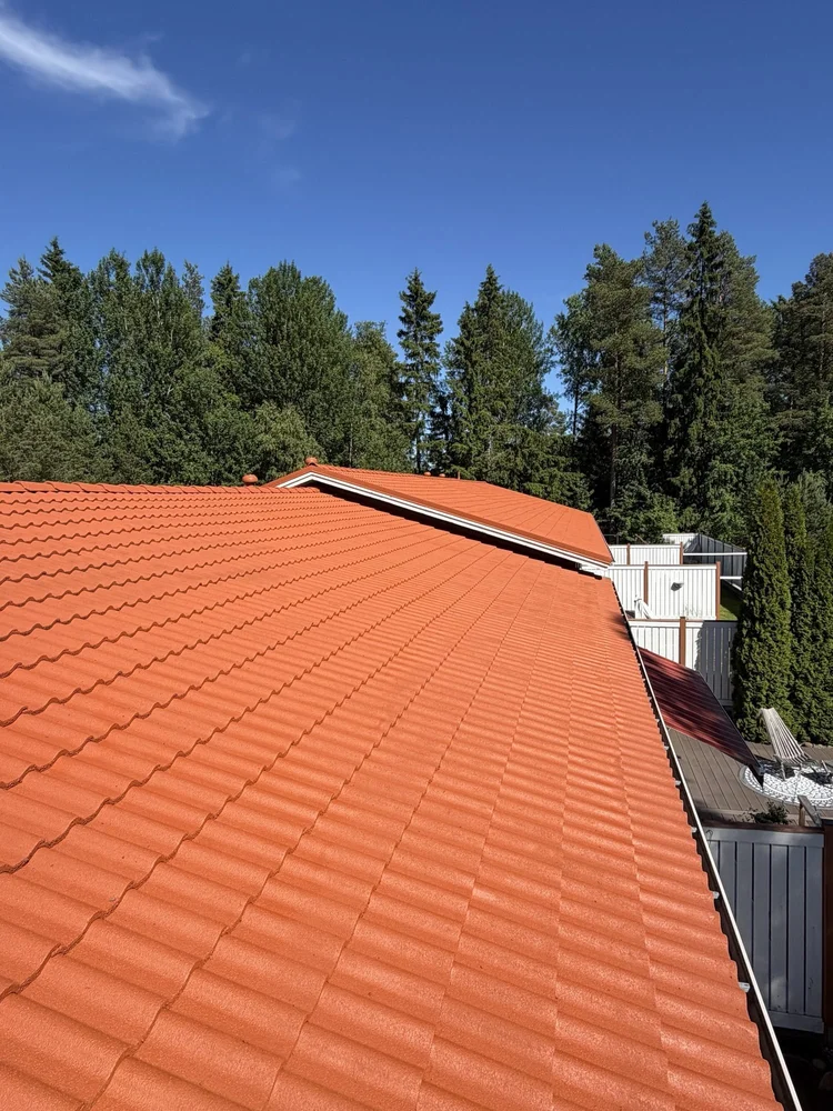 Maalattu tiilikatto ja harja, taustalla metsää