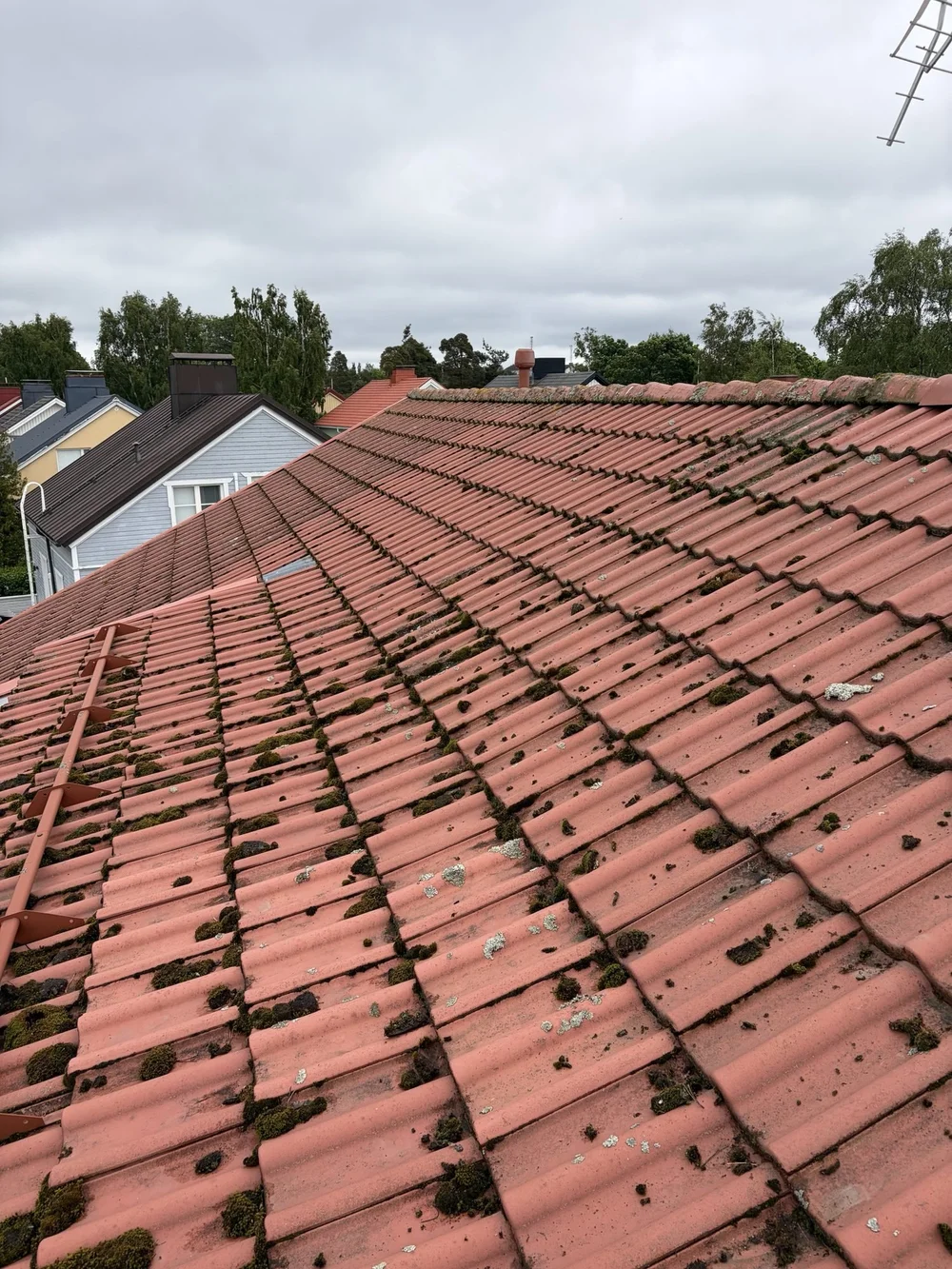 Sammaloitunut tiilikatto ennen pesua ja sammaleenestokäsittelyä