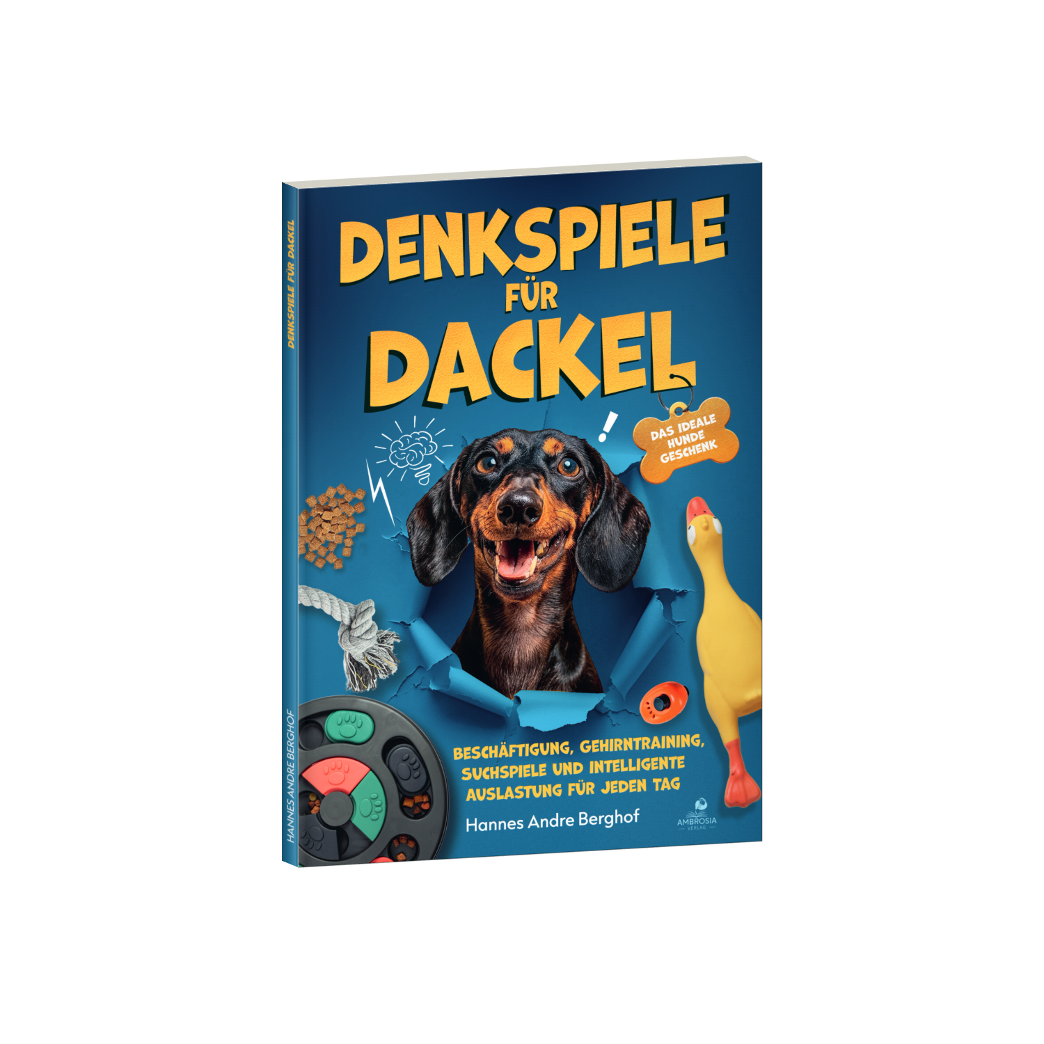 Denkspiele für Dackel