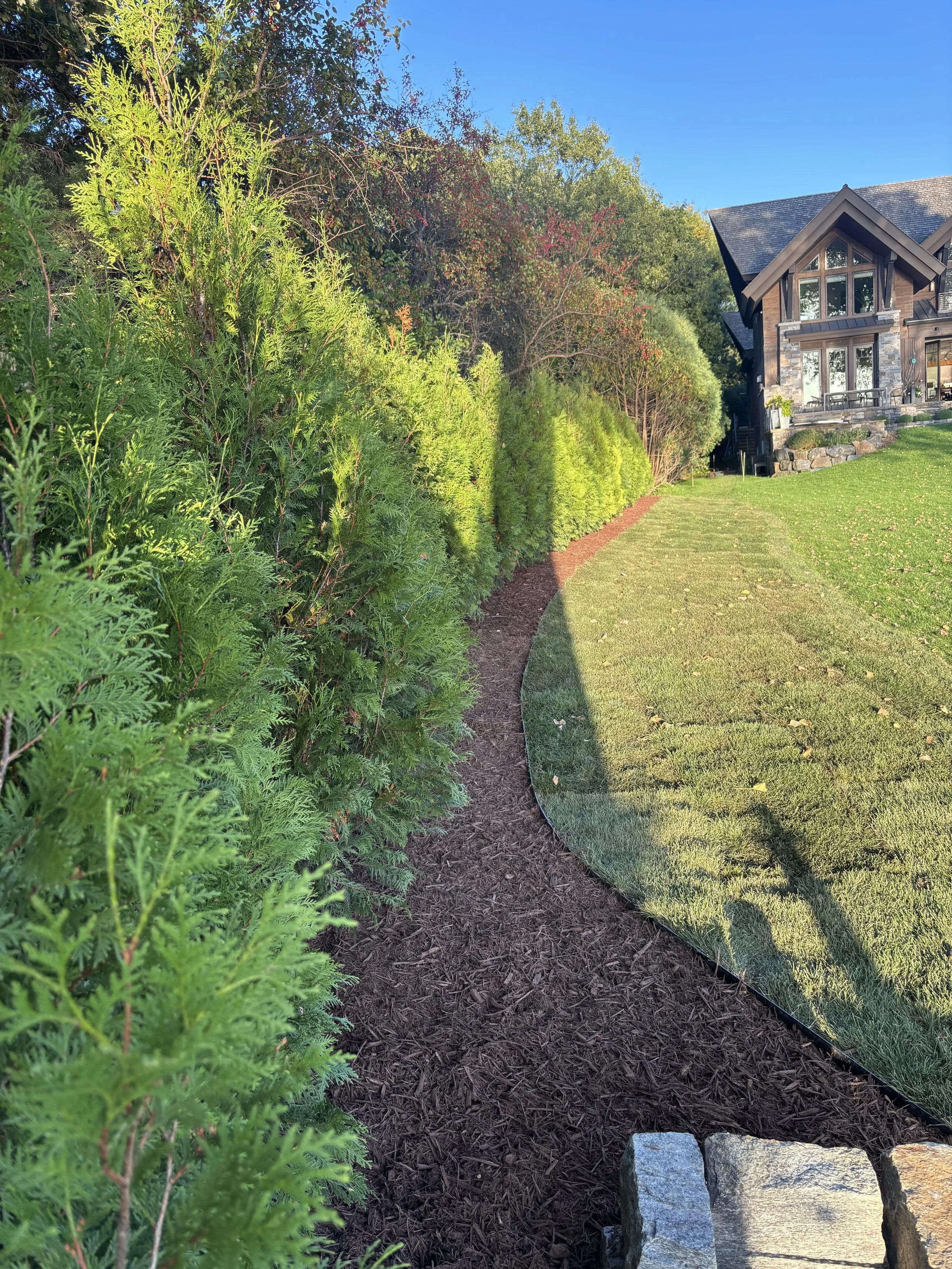 Landscape planting, Relentless Landscaping