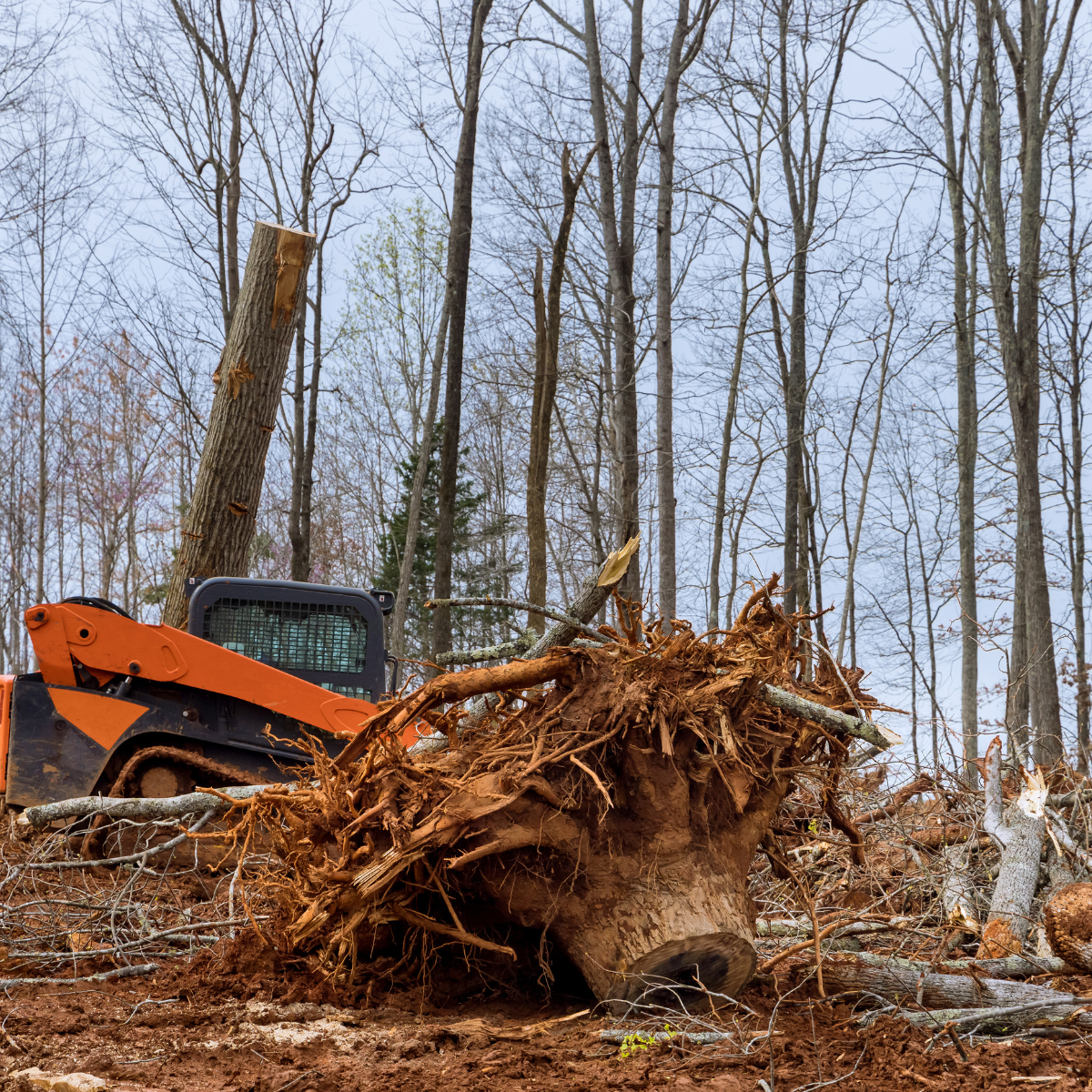 Land clearing, Relentless Landscaping