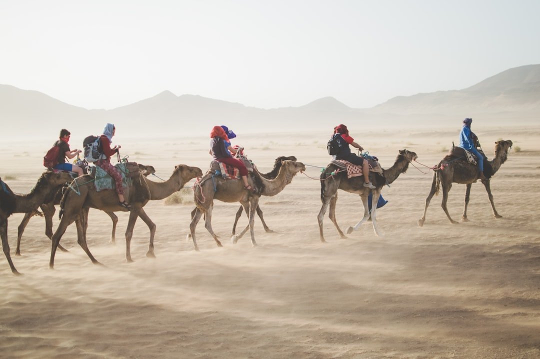 Group of travelers riding camels through a desert landscape on a guided tour
