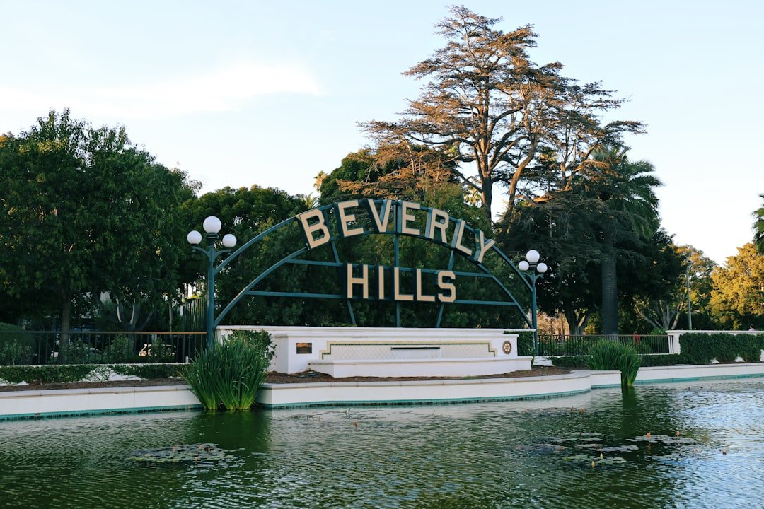 Beverly Hills palm-lined street
