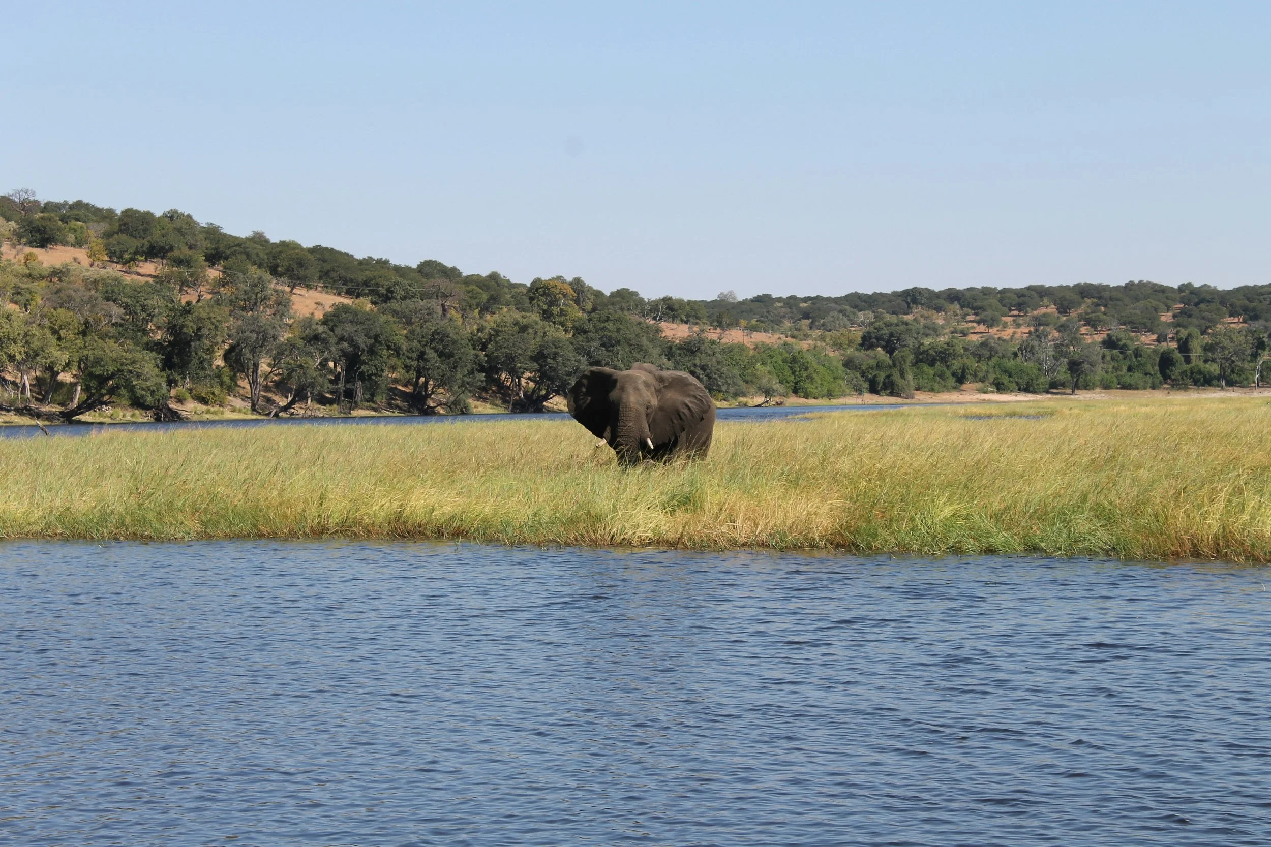 Open-air deck aboard the Zambezi Queen on the Chobe River
