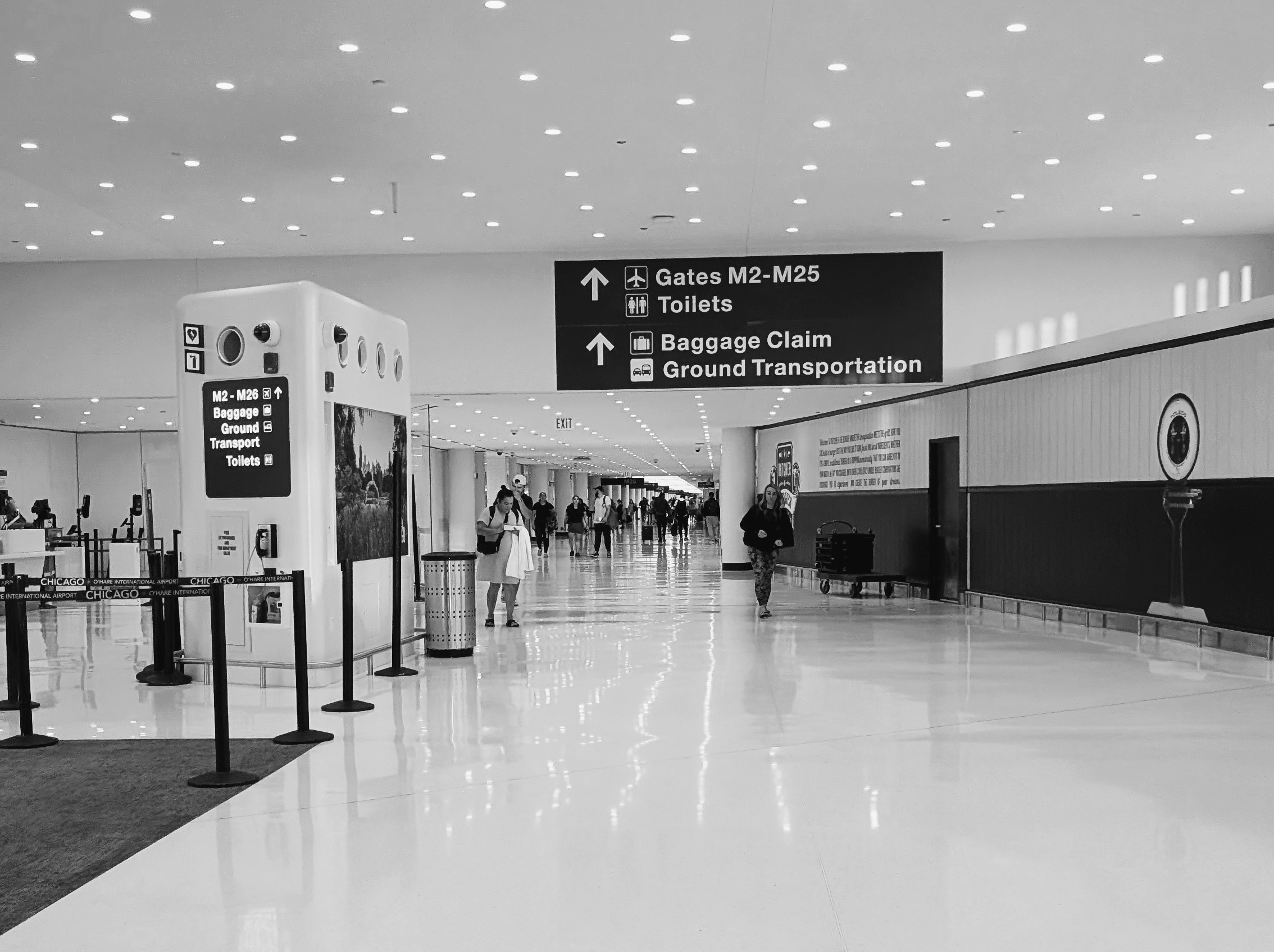 Stakeholder Engagement Services