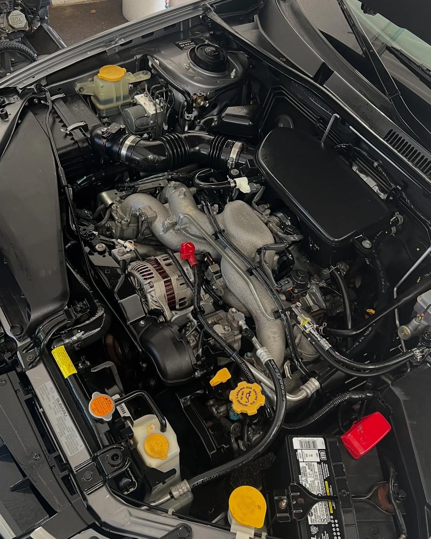 Engine bay after professional cleaning: refreshed and ready for a photo-worthy look – MC Auto Detailing