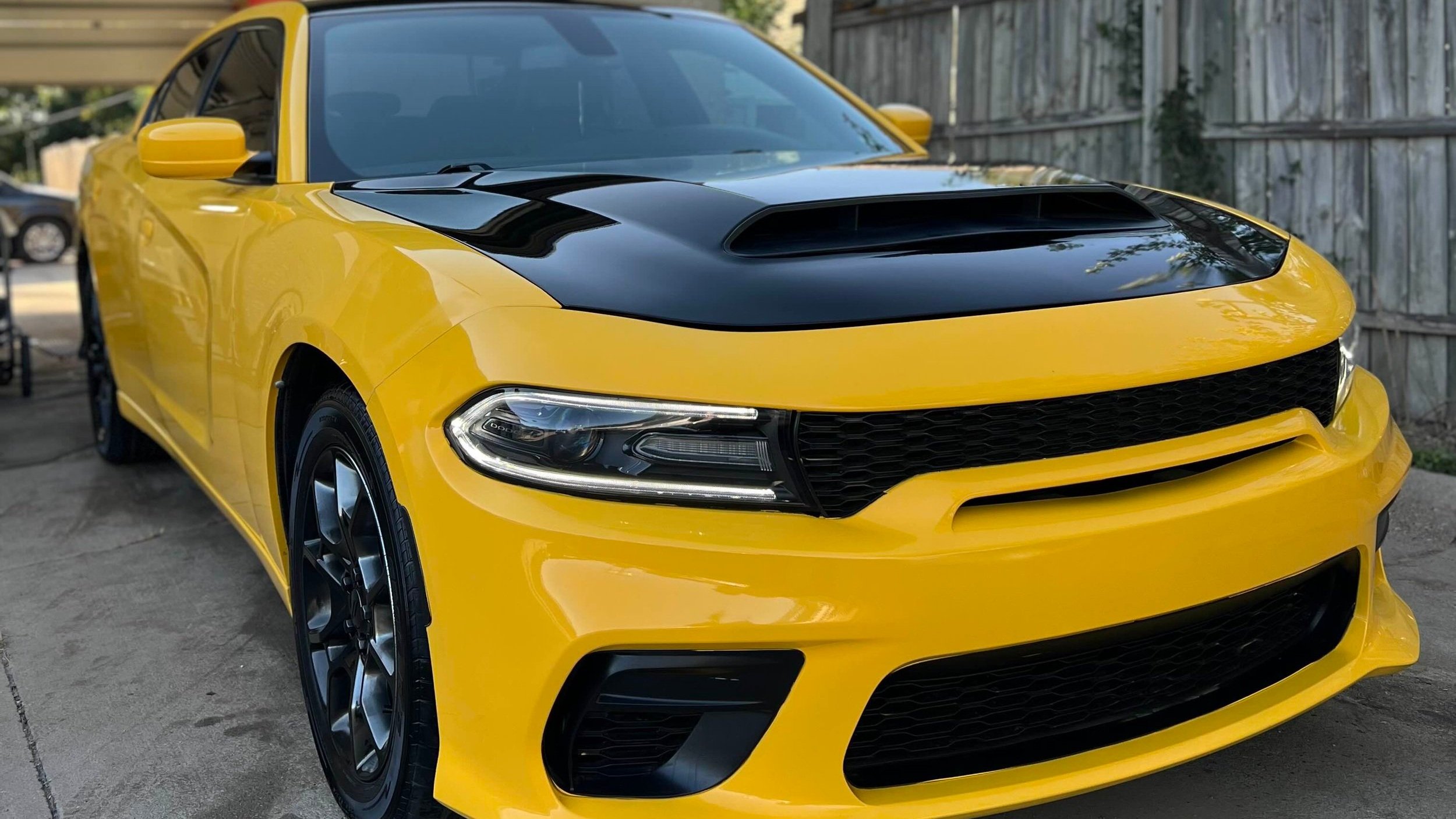 Car Detailing Near Me Lincoln - Paint Correction