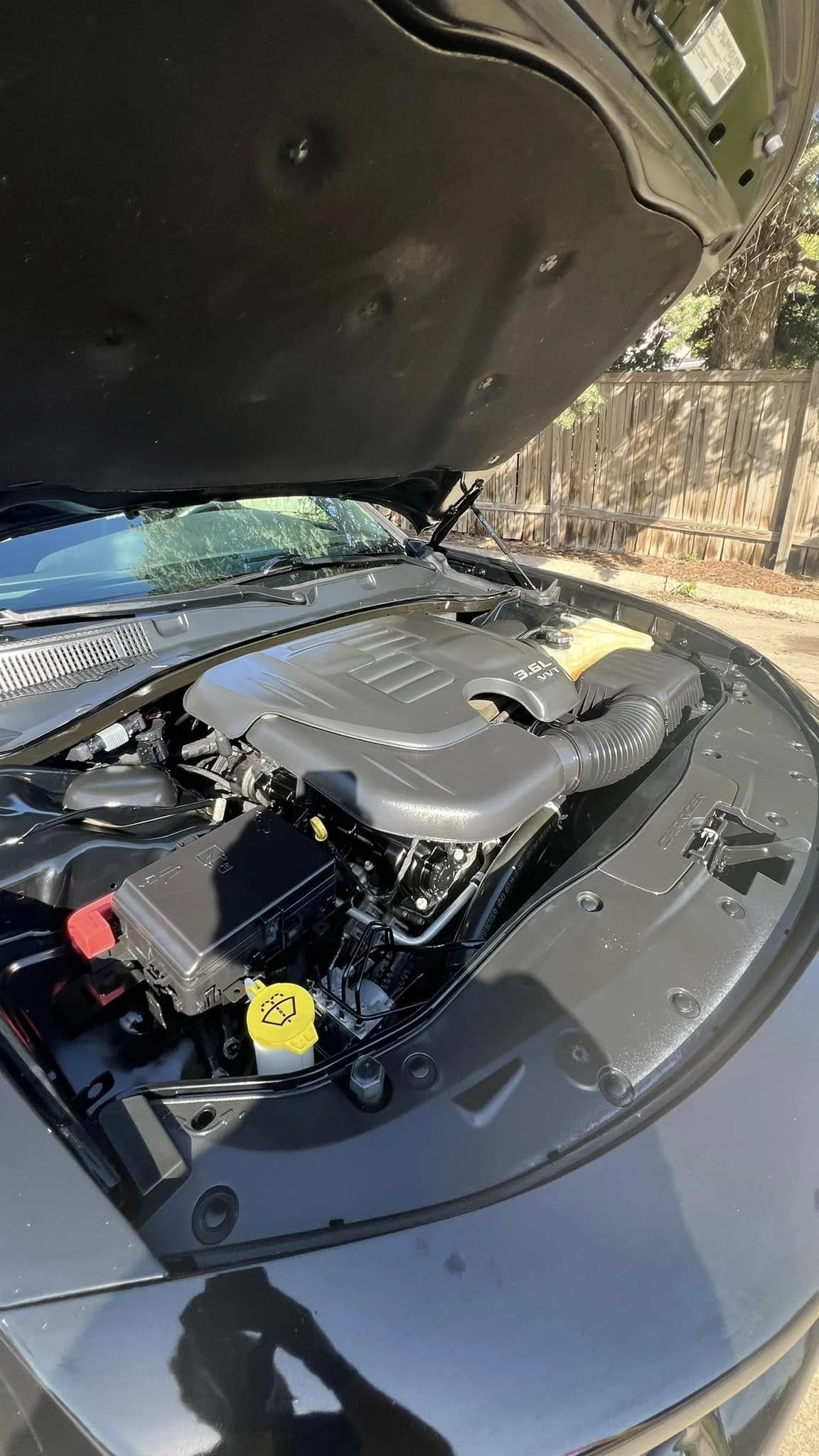 After cleaning: crisp plastics and clean surfaces in the engine bay – professional detail in Lincoln NE
