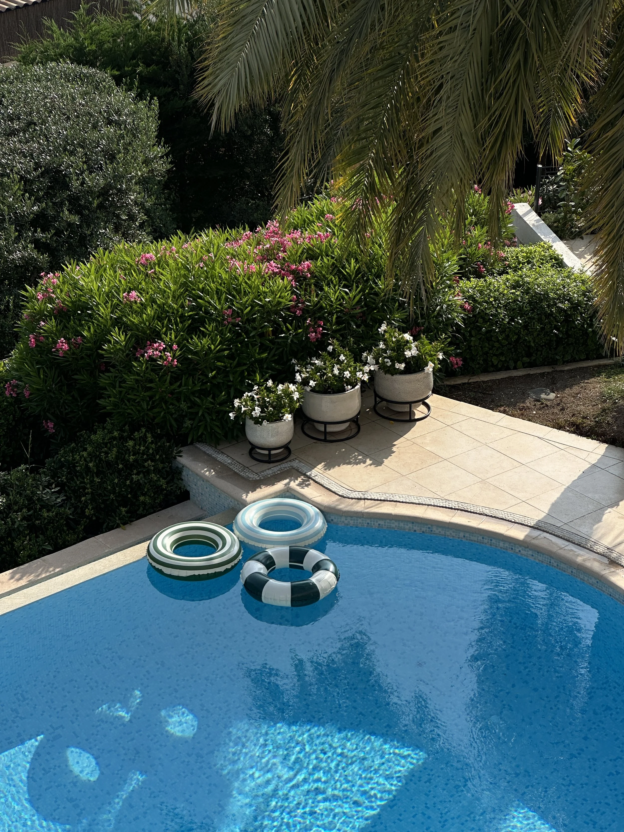 Villa Monaco's private pool with striped floating rings in green, blue and black-and-white — evoking the classic Riviera beach club palette without leaving the property