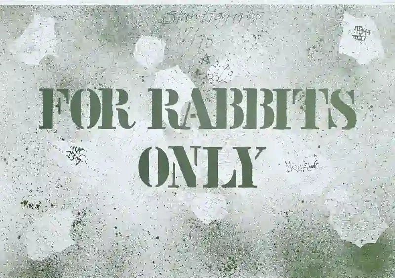 Poster of the exhibition FOR RABBITS ONLY  by STEEN HØYER