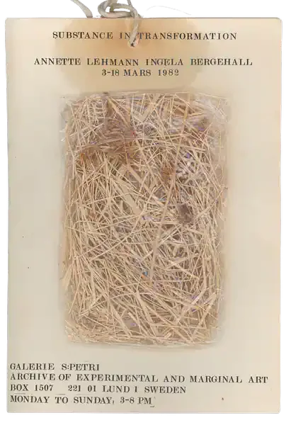 Poster of the exhibition SUBSTANCE IN TRANSFORMATION by ANNETTE LEHMANN  AND INGELA BERGEHALL