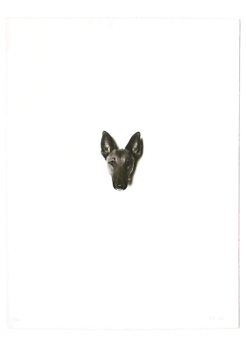 ROSEMARIE TROCKEL — UNICEF