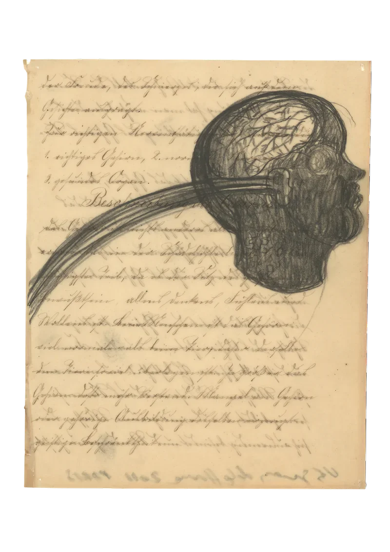 SANDRA VÁSQUEZ DE LA HORRA — Escuchar el Arcoiris