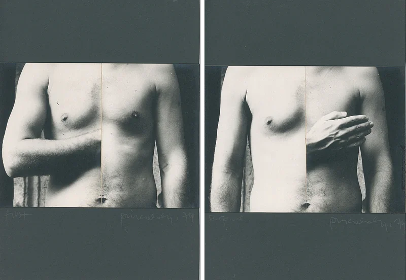 SÁNDOR PINCZEHELY — XYZ (Dyptich)