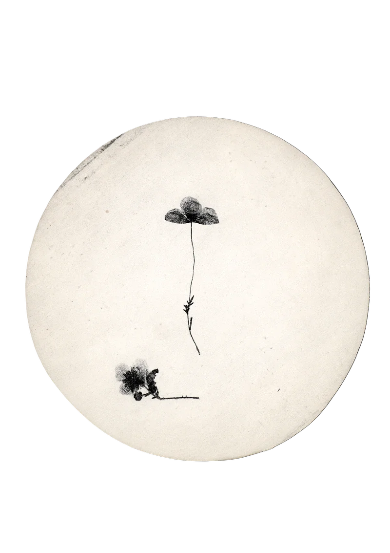 TAKAKO SAITO — Would you like to take a walk among the flowers?