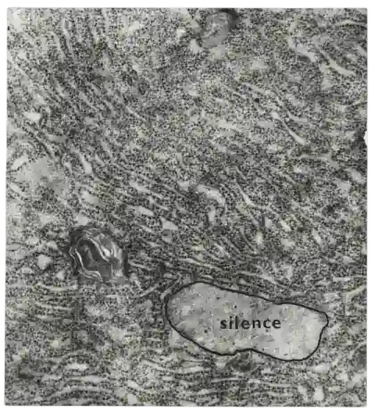 VIZUÁLNI BÁSEN (INTERPRETOVANÁ MIKROFOTOGRAFIE) 1969