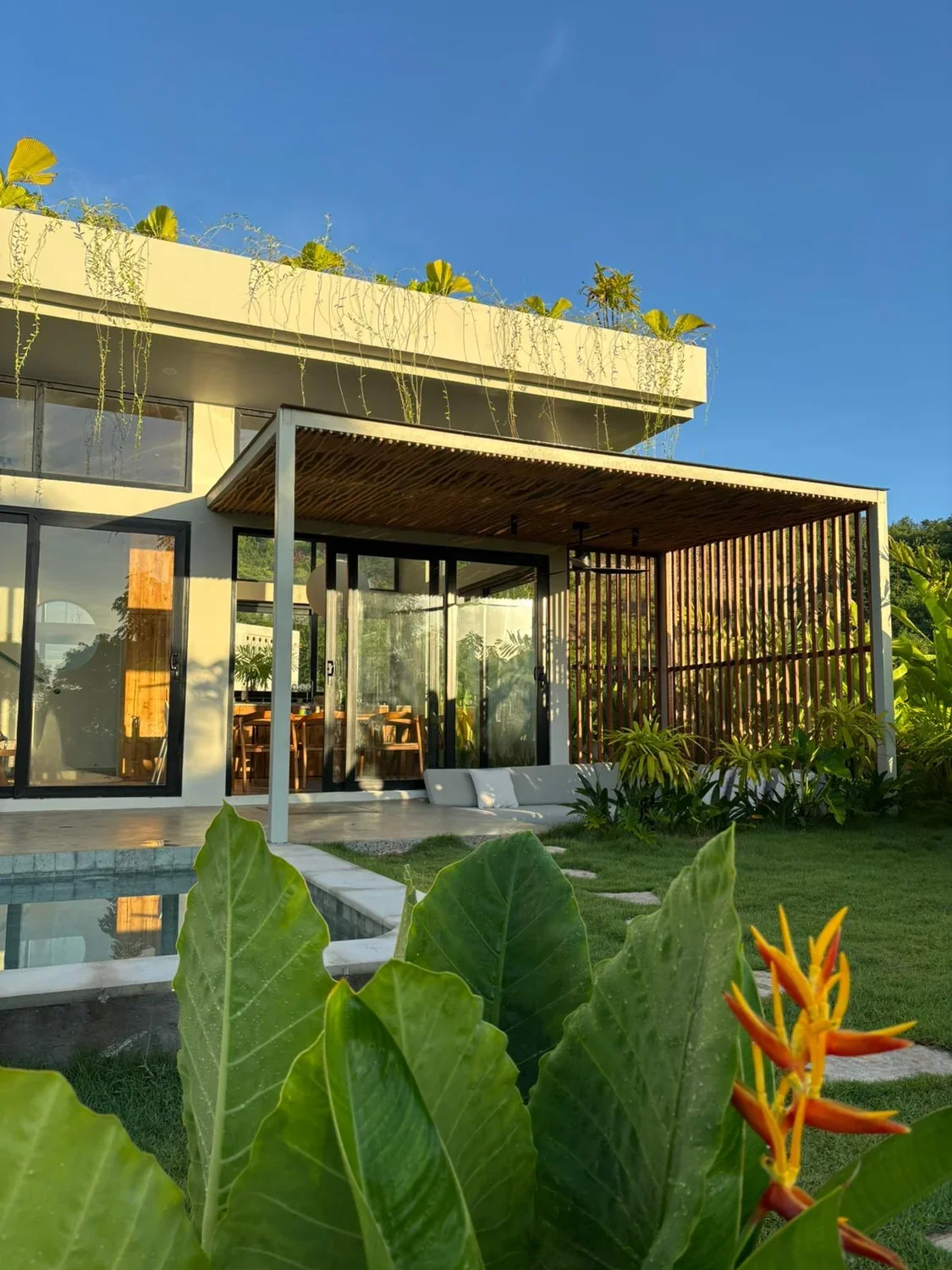 Pool and sunken outdoor