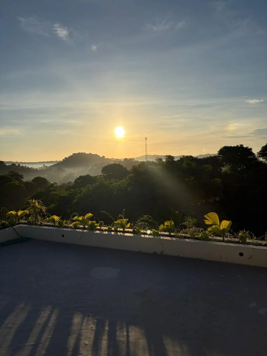 Yoga Deck Morning