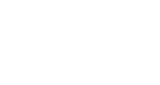 Level Beer