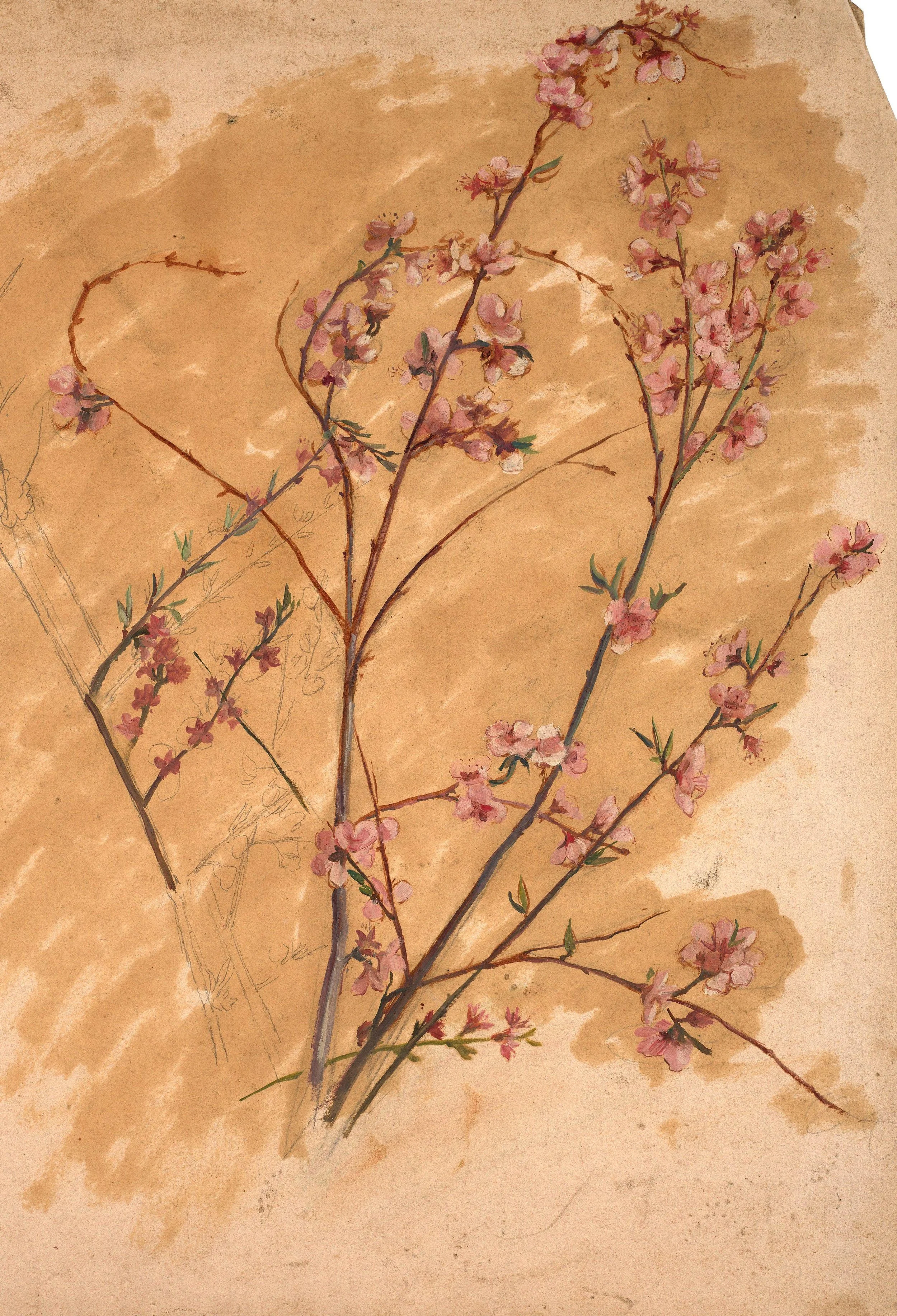Marie Bracquemond artwork