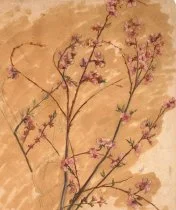 Art piece 6