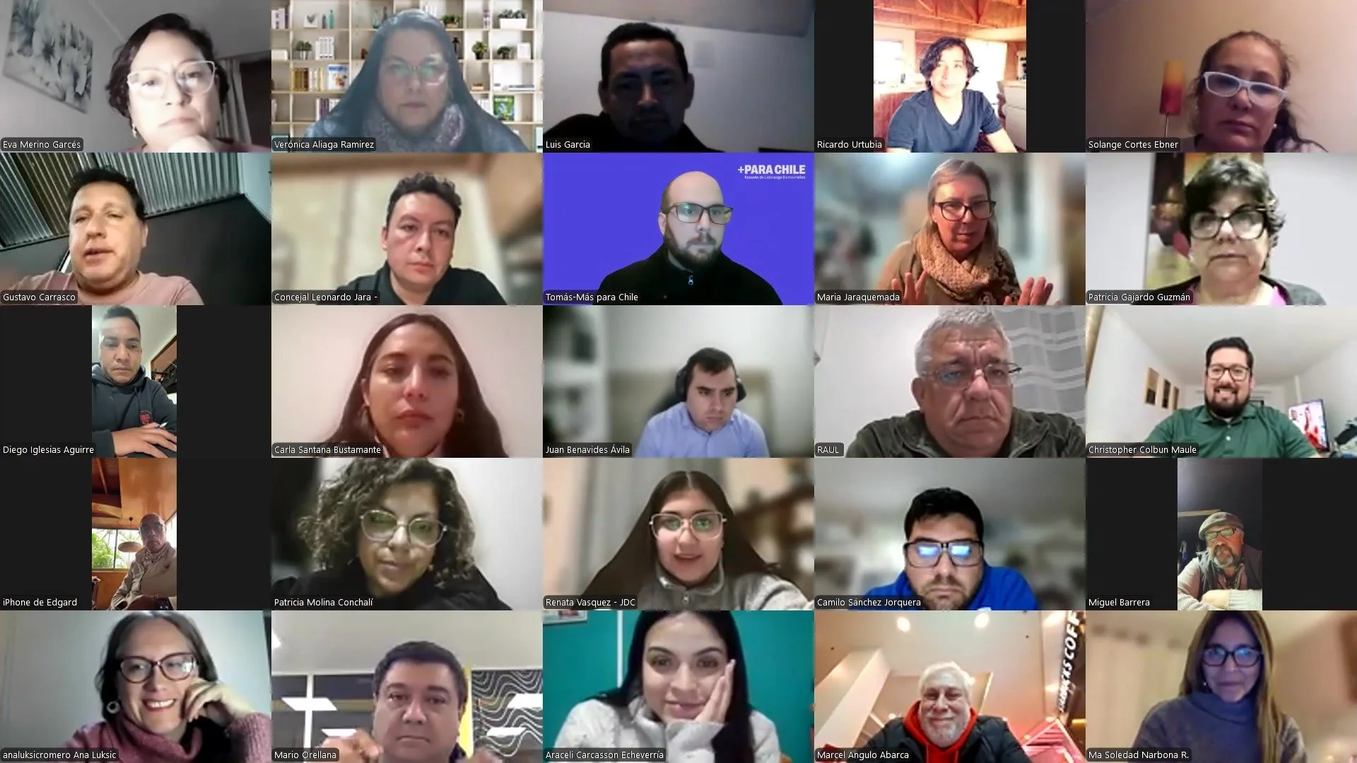 María Jaraquemada expone ante las y los participantes del Programa 2026 Liderazgos Locales de Más para Chile en una sesión por Zoom