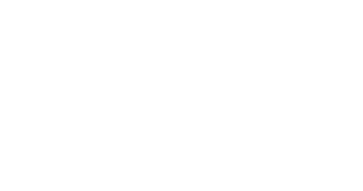 Partner 1 Logo
