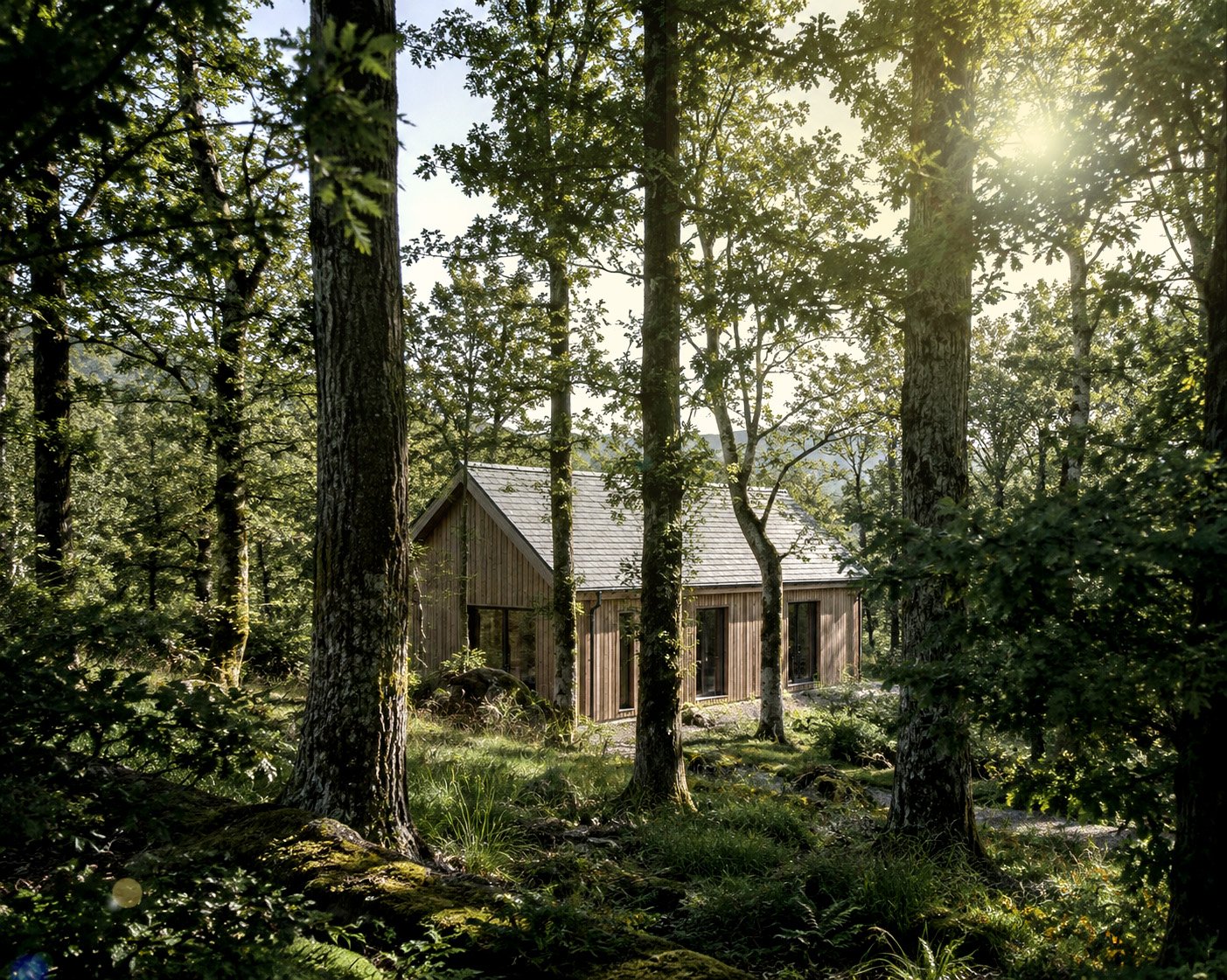 A regenerative timber home surrounded by woodland