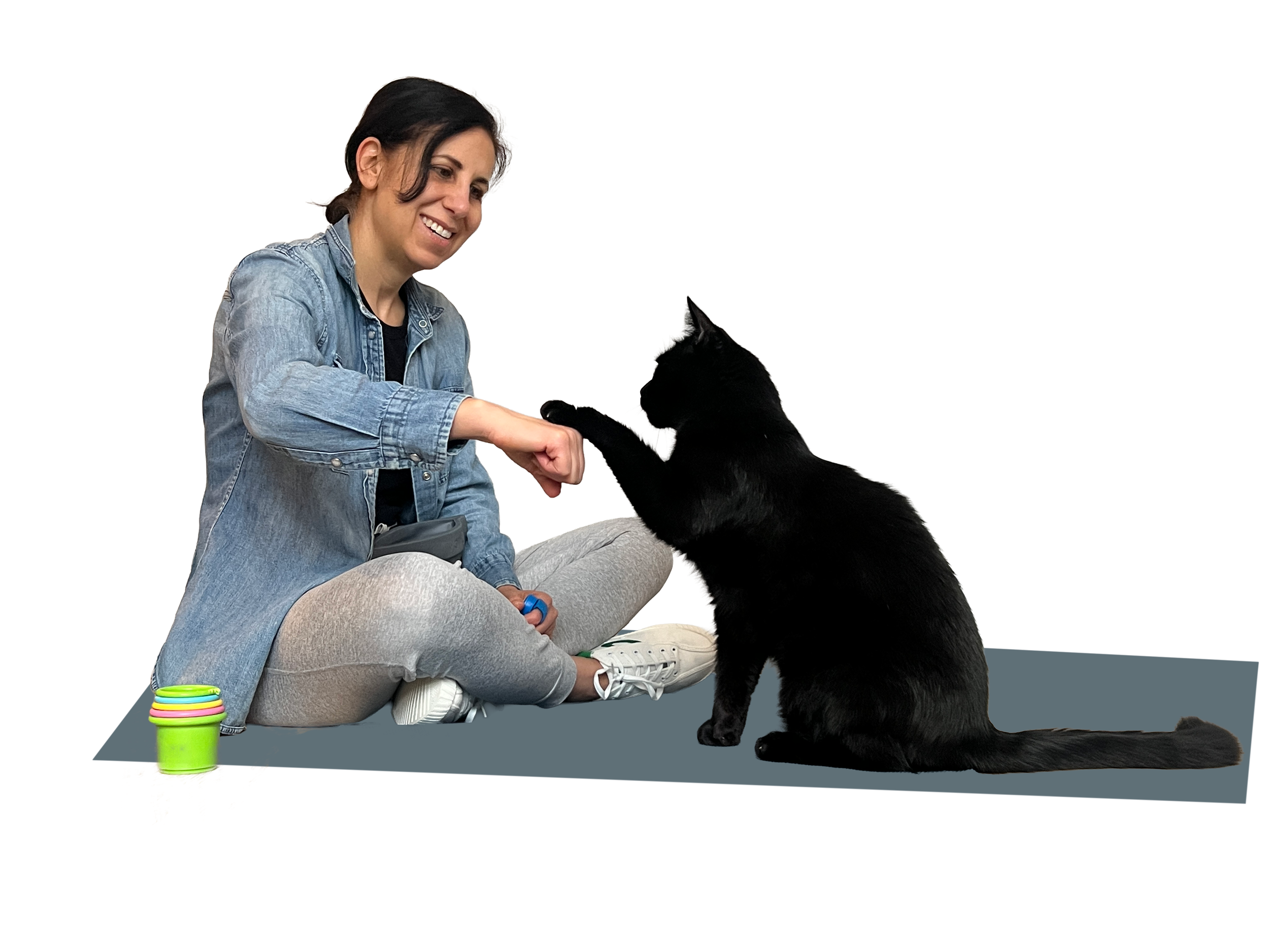 Julie Posluns training Jones the cat with a paw touch