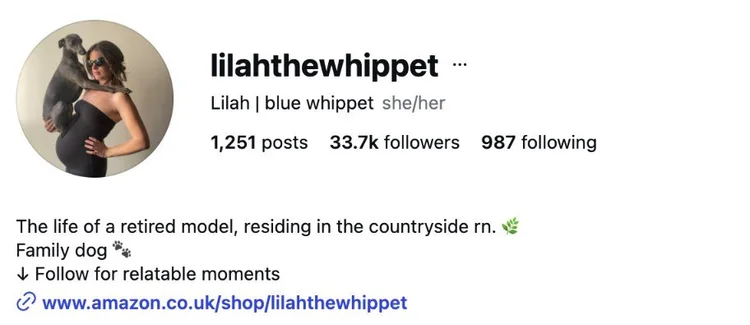 Lilah’s account: 34K followers
