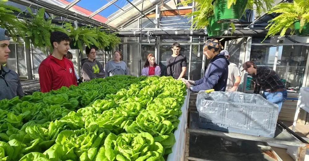 the greenhouse or high tunnels in winter