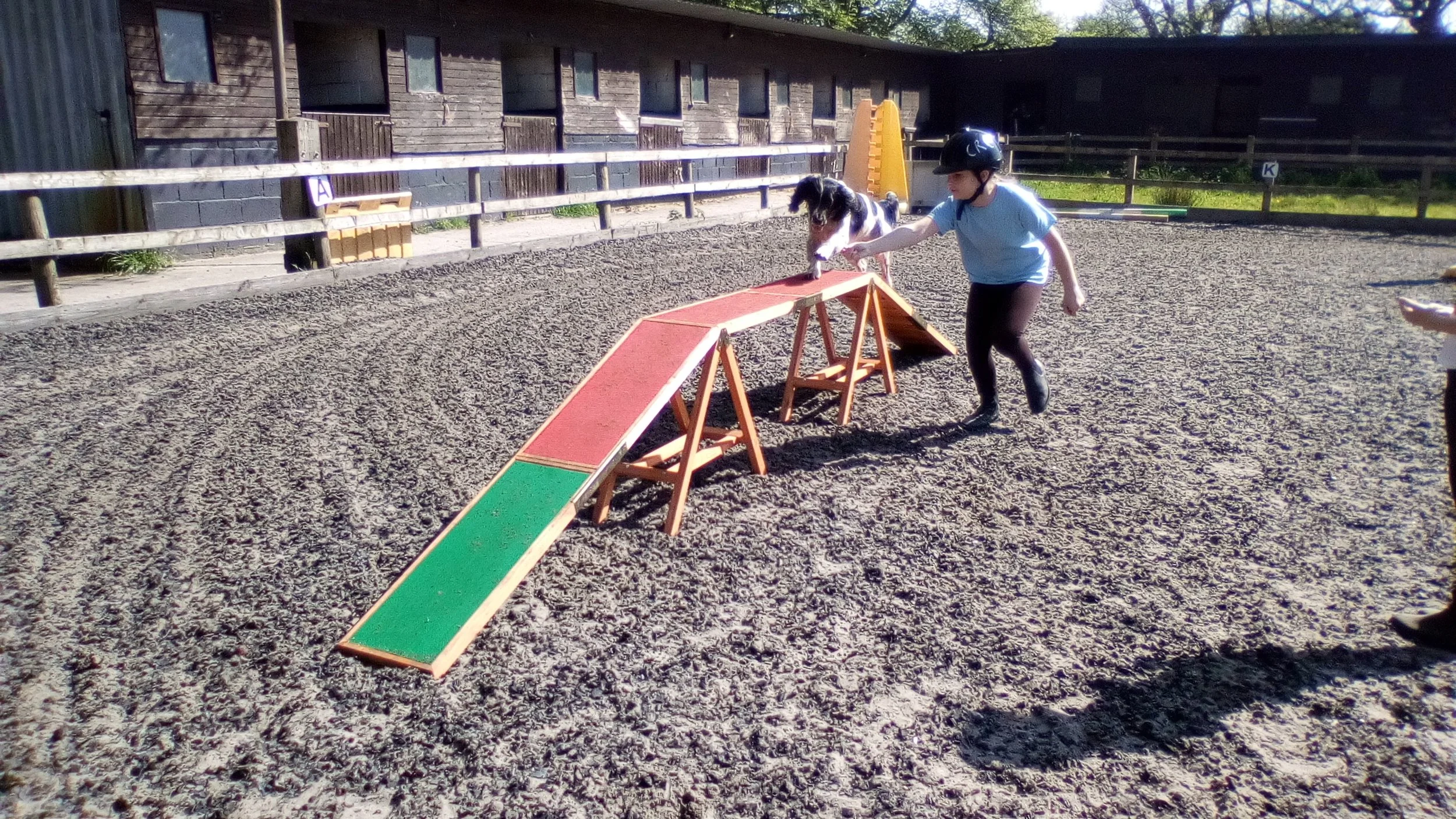 Student training dog on agility course at Changing Lives SEN school